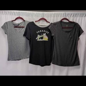 Graphic Tee and Solid T-Shirt Trio